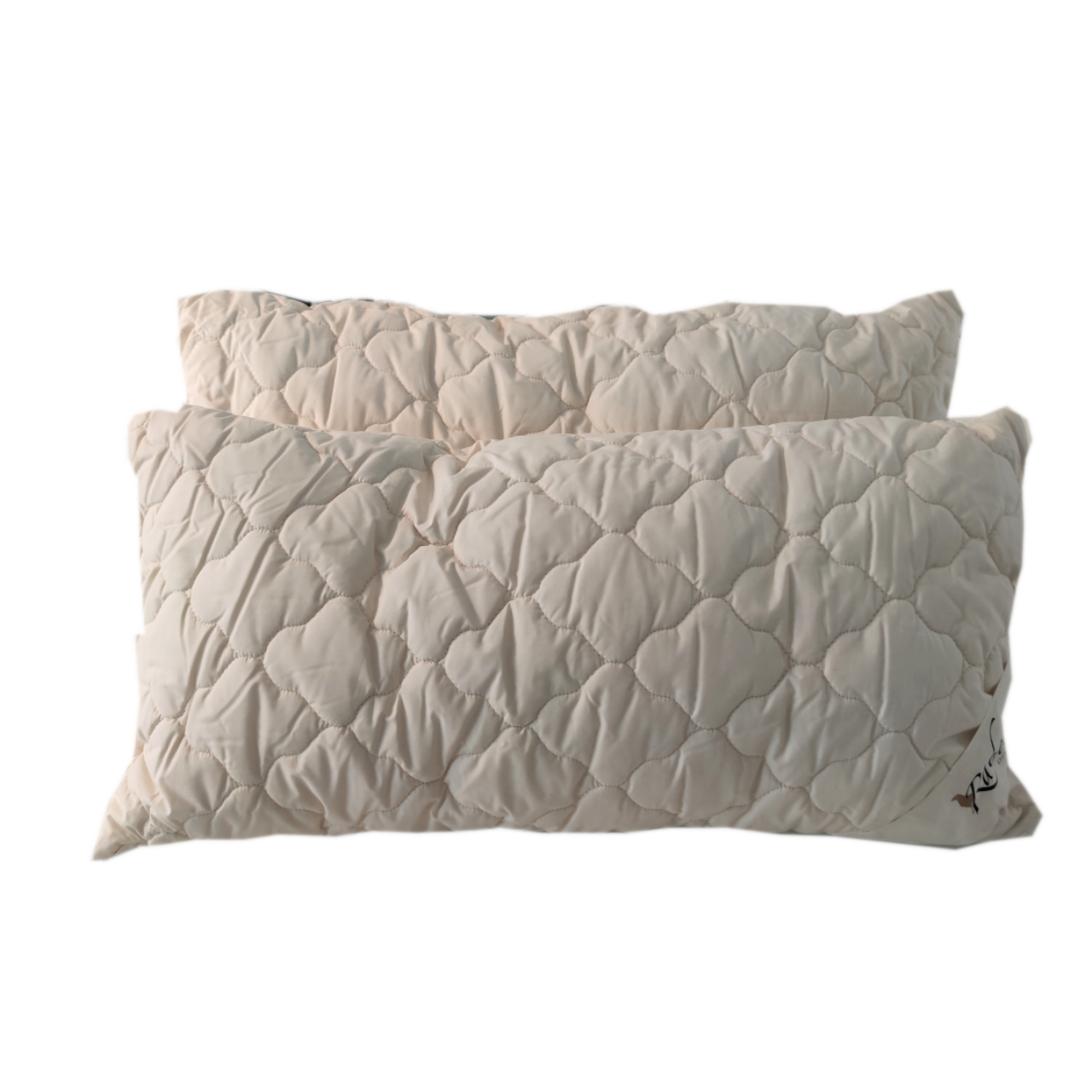 Rabens organic 2er Set Alpaka Bio Kopfkissen (separater Innenbeutel) - schlafraum.shop